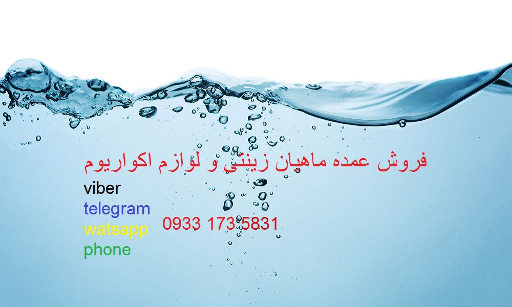 فروش عمده ماهیان زینتی
